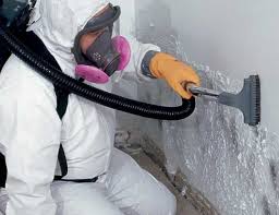 Why You Should Choose Our Mold Remediation Services in Slayton, MN